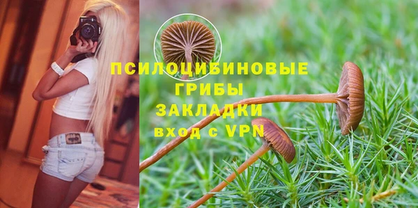 первитин Мегион