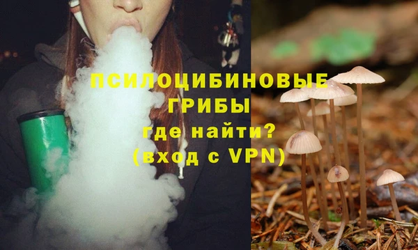 эйфоретик Медногорск