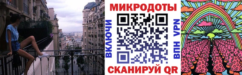 Купить  Бологое  Галлюциногенные грибы Cubensis 