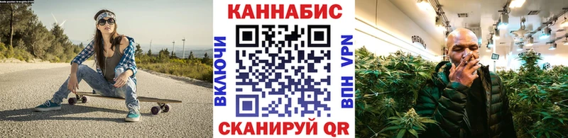 Бошки марихуана сатива Бологое